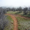DSC01310