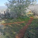 DSC01319