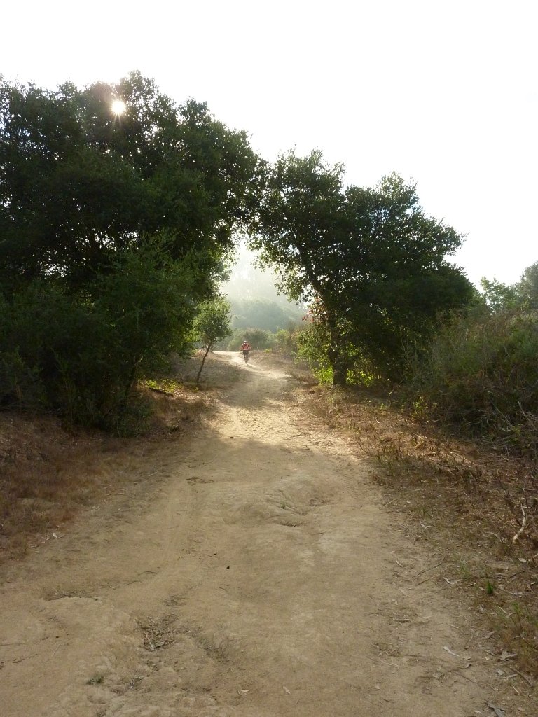 P1040341