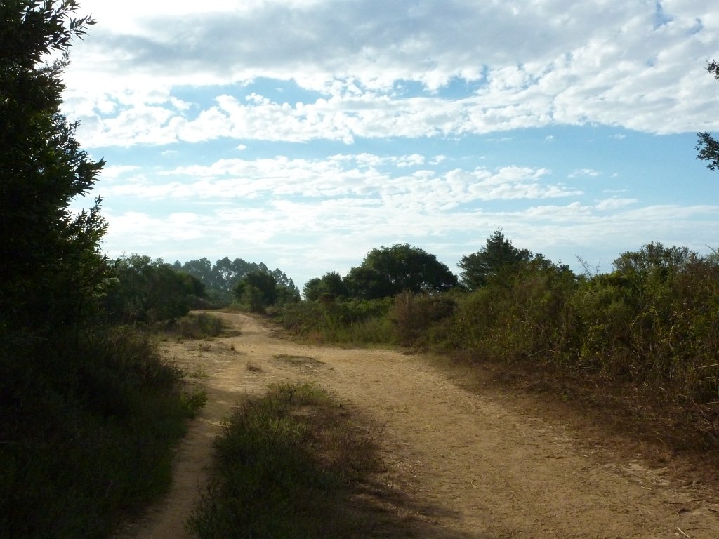 P1040342