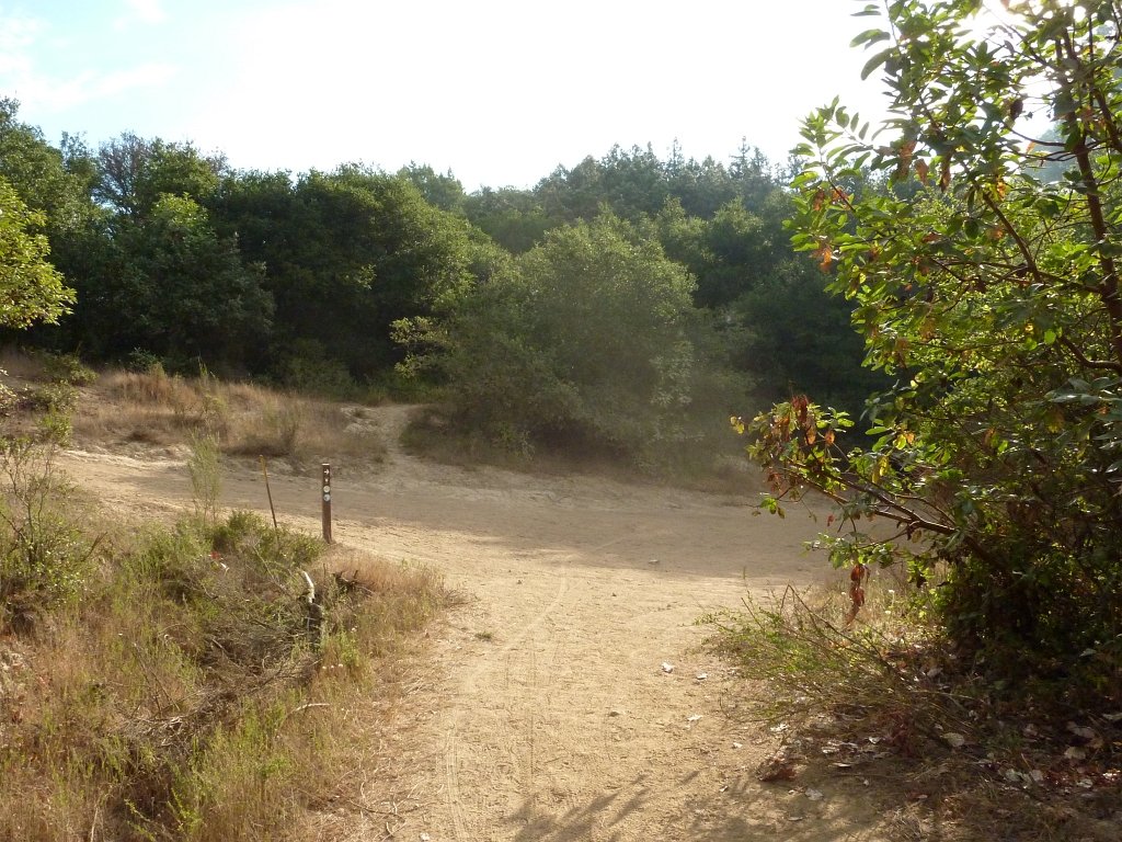 P1040343