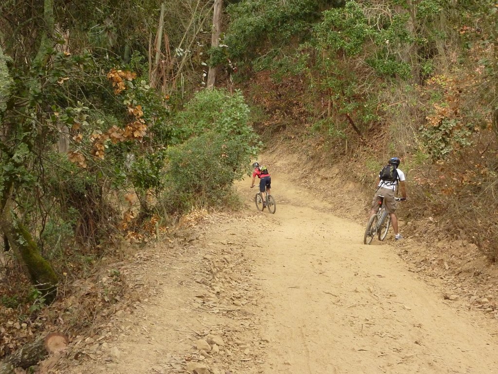 P1040348