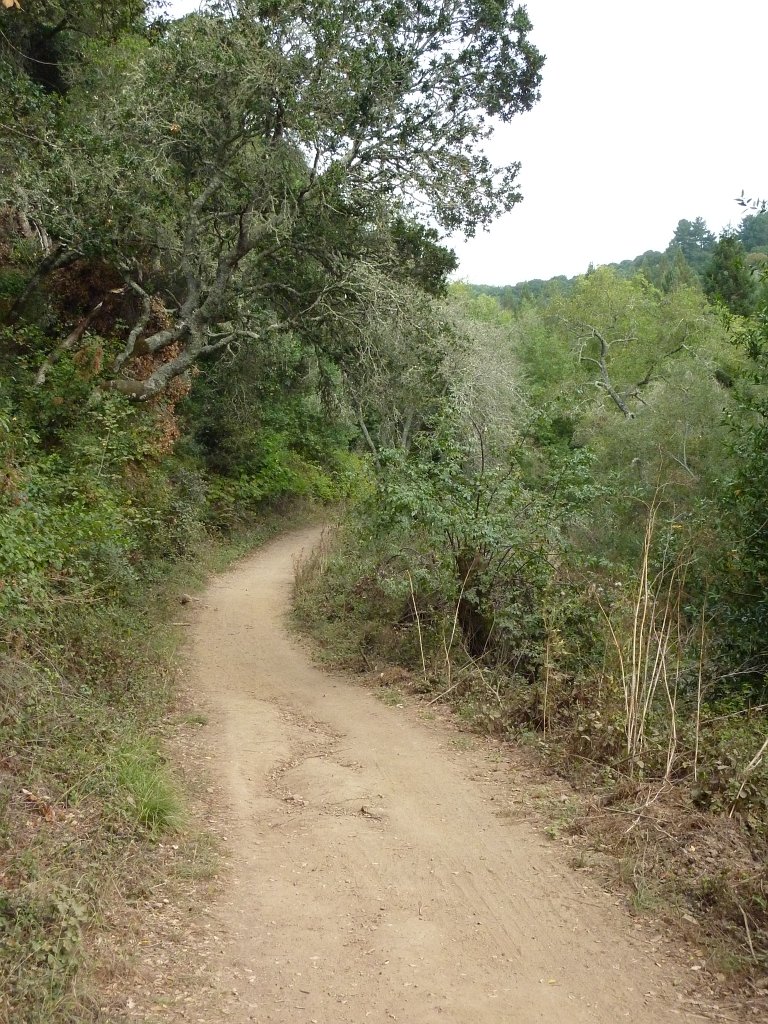 P1040350