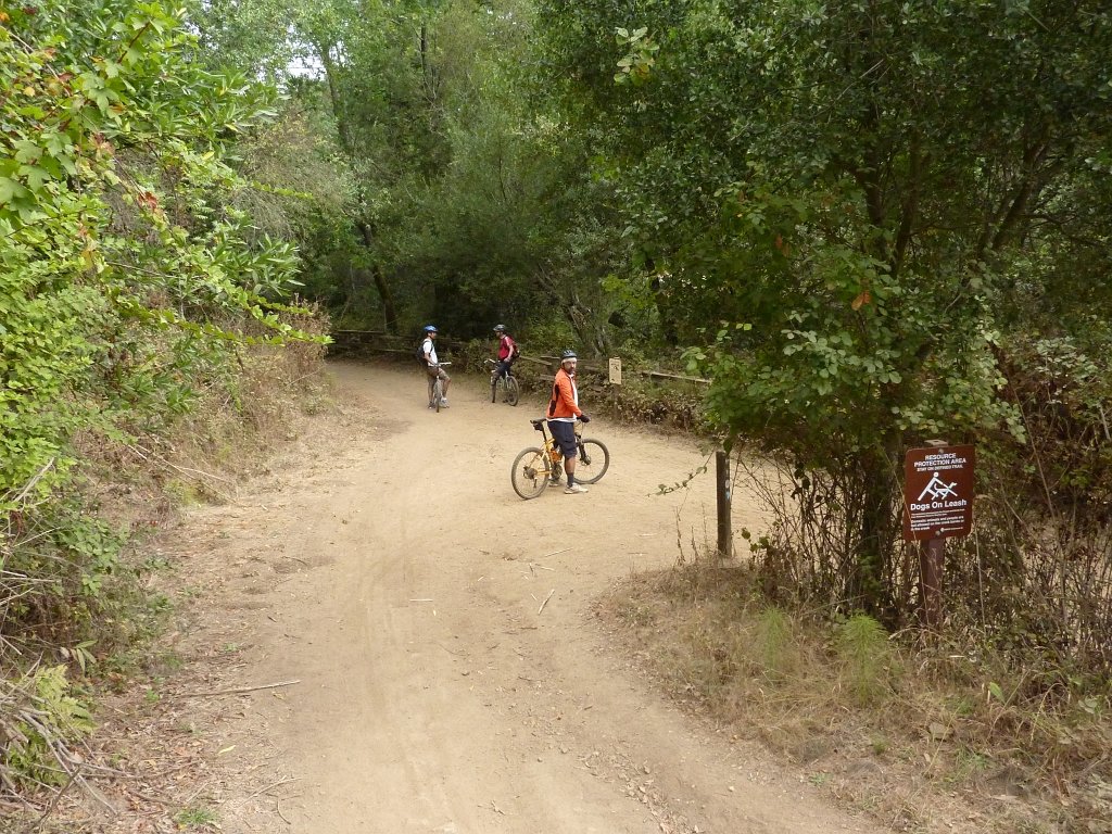 P1040351