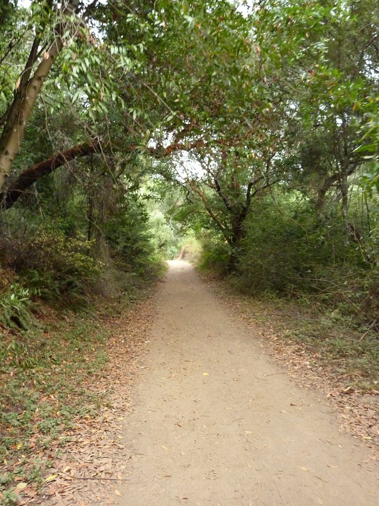 P1040353