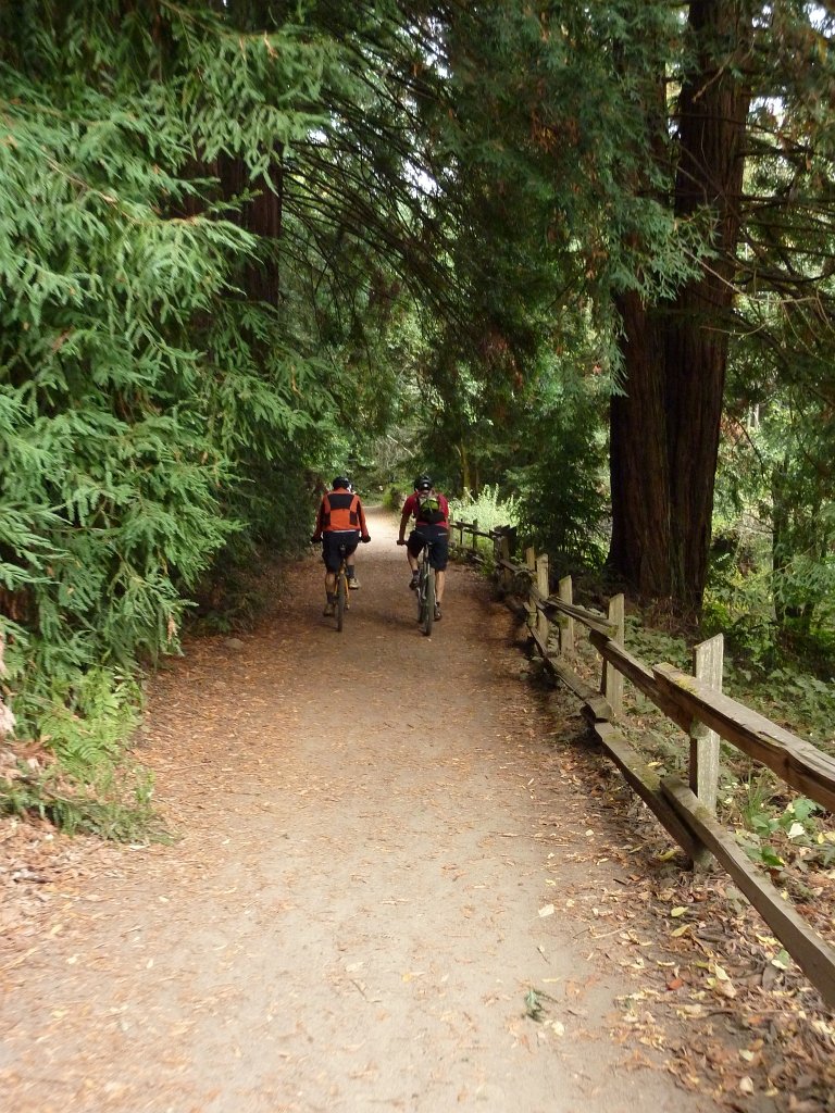 P1040360