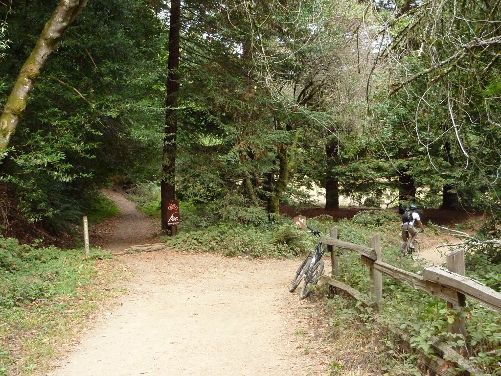 P1040361