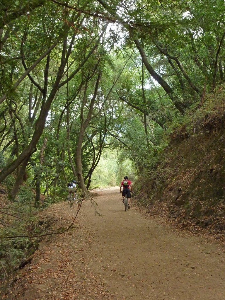 P1040377