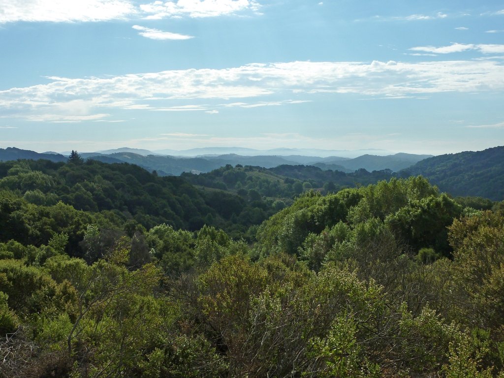 P1040392