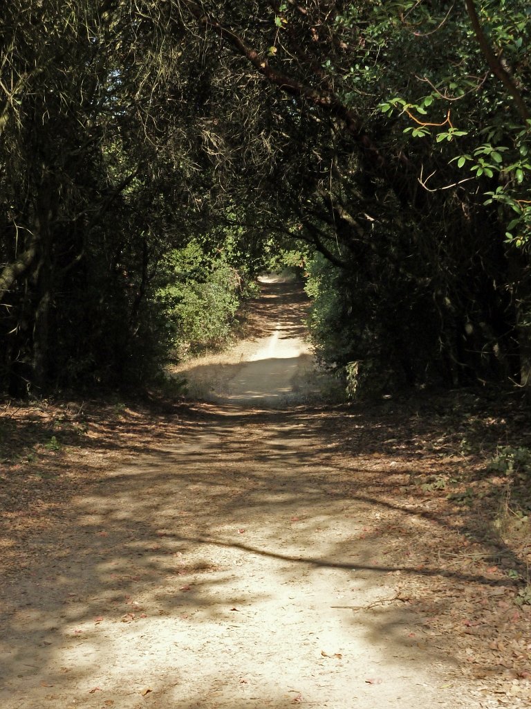 P1040396