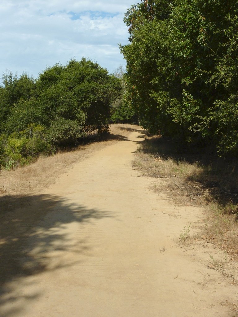 P1040397