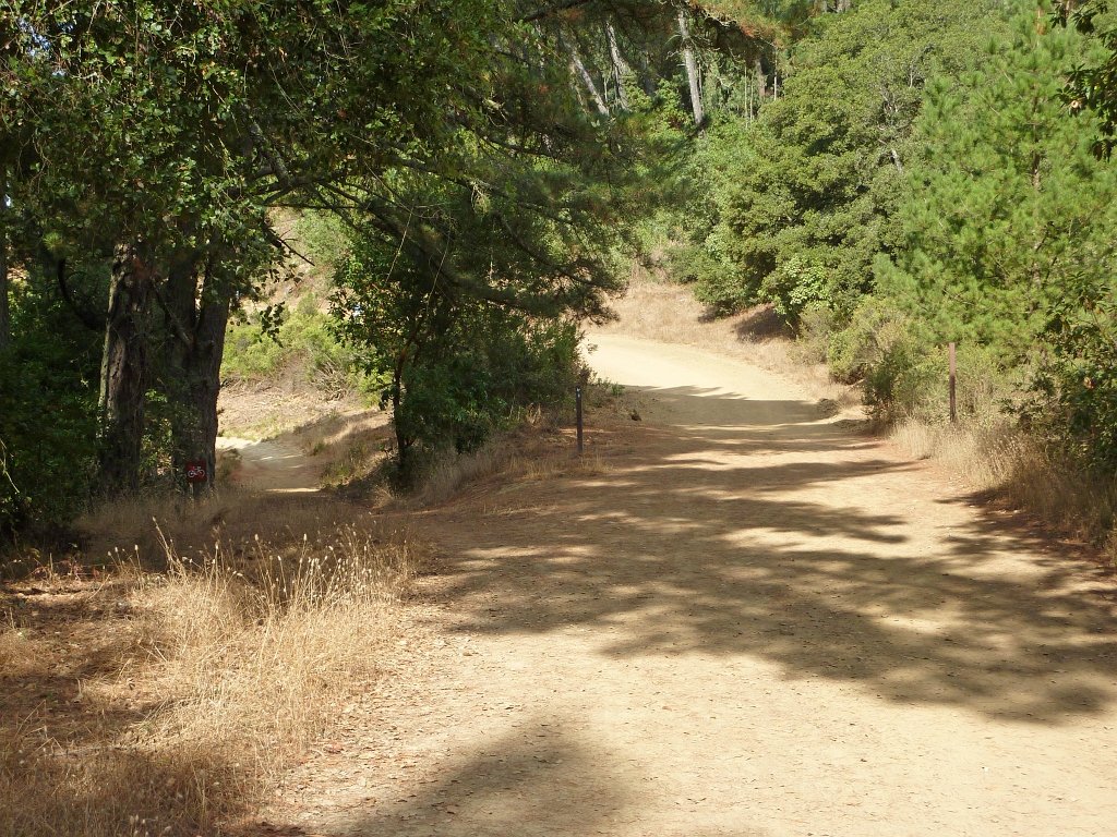 P1040400