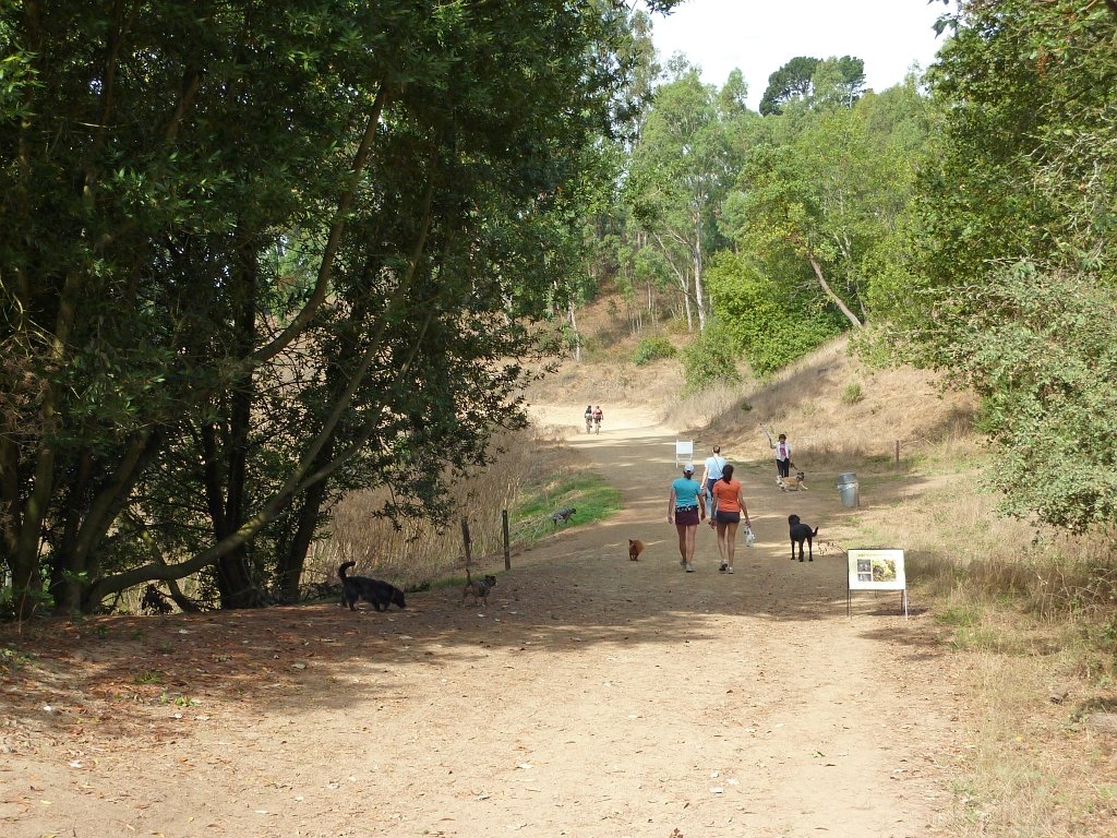 P1040404