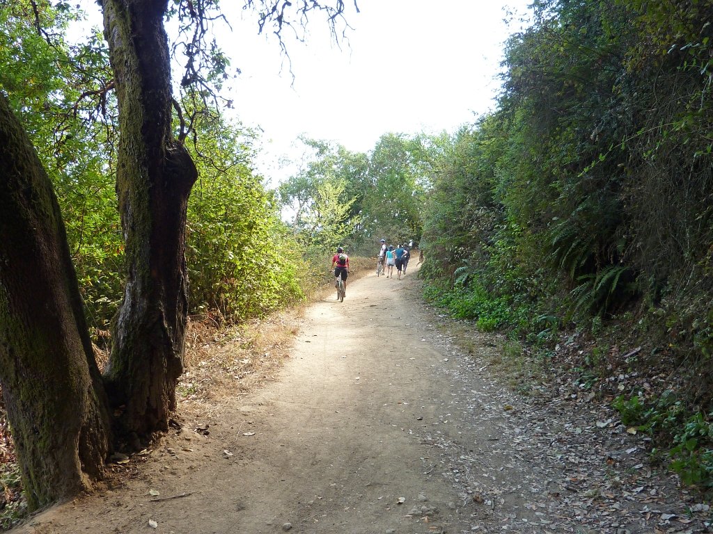 P1040409