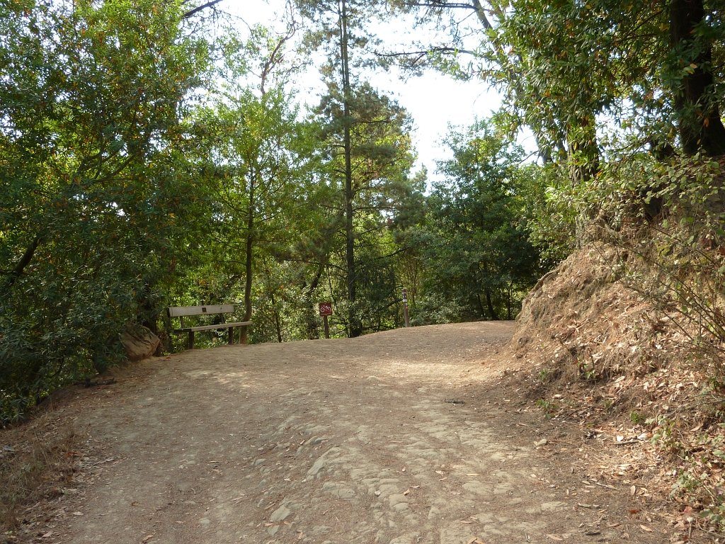 P1040410