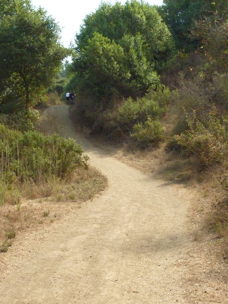 P1040413