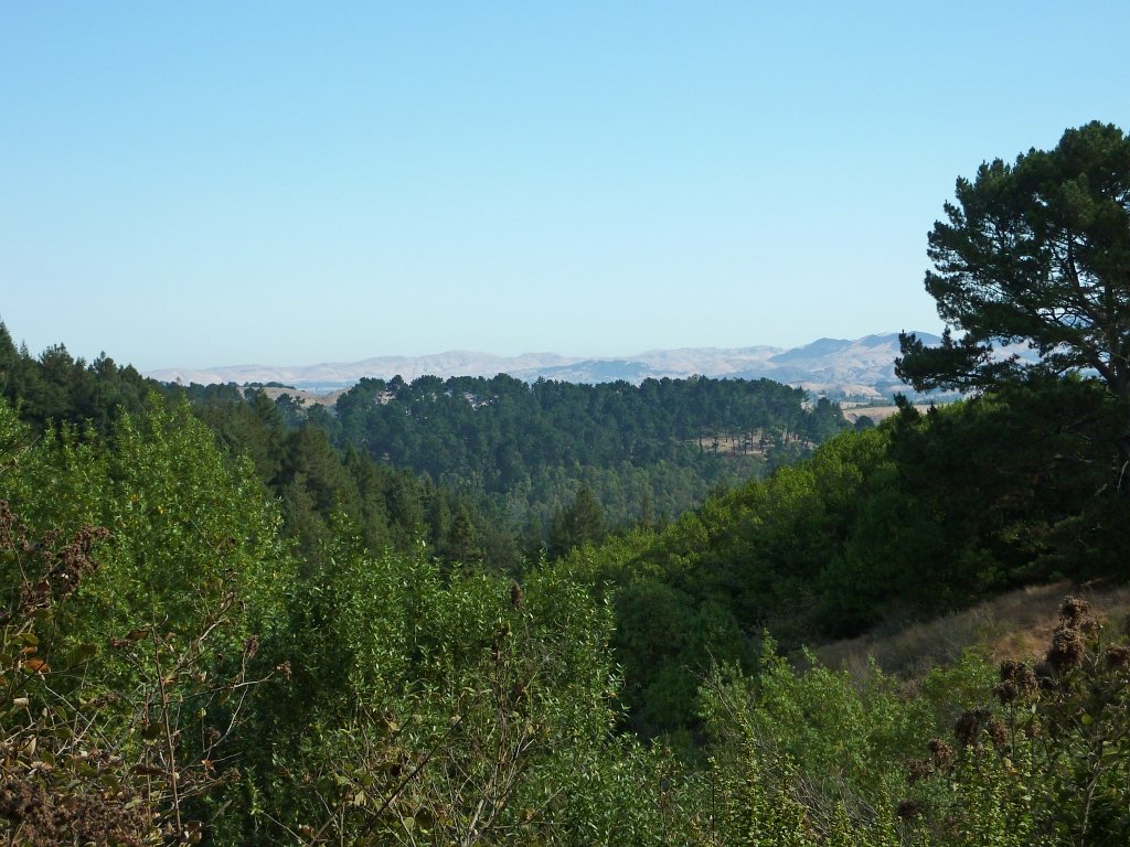 P1040414
