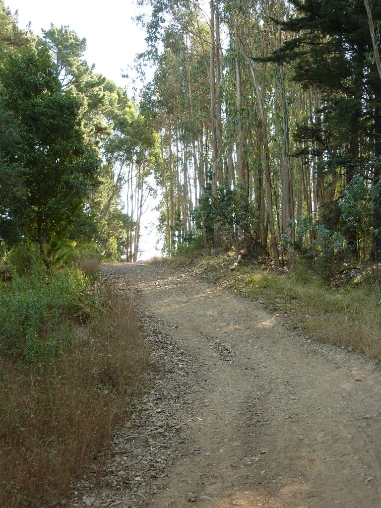 P1040416