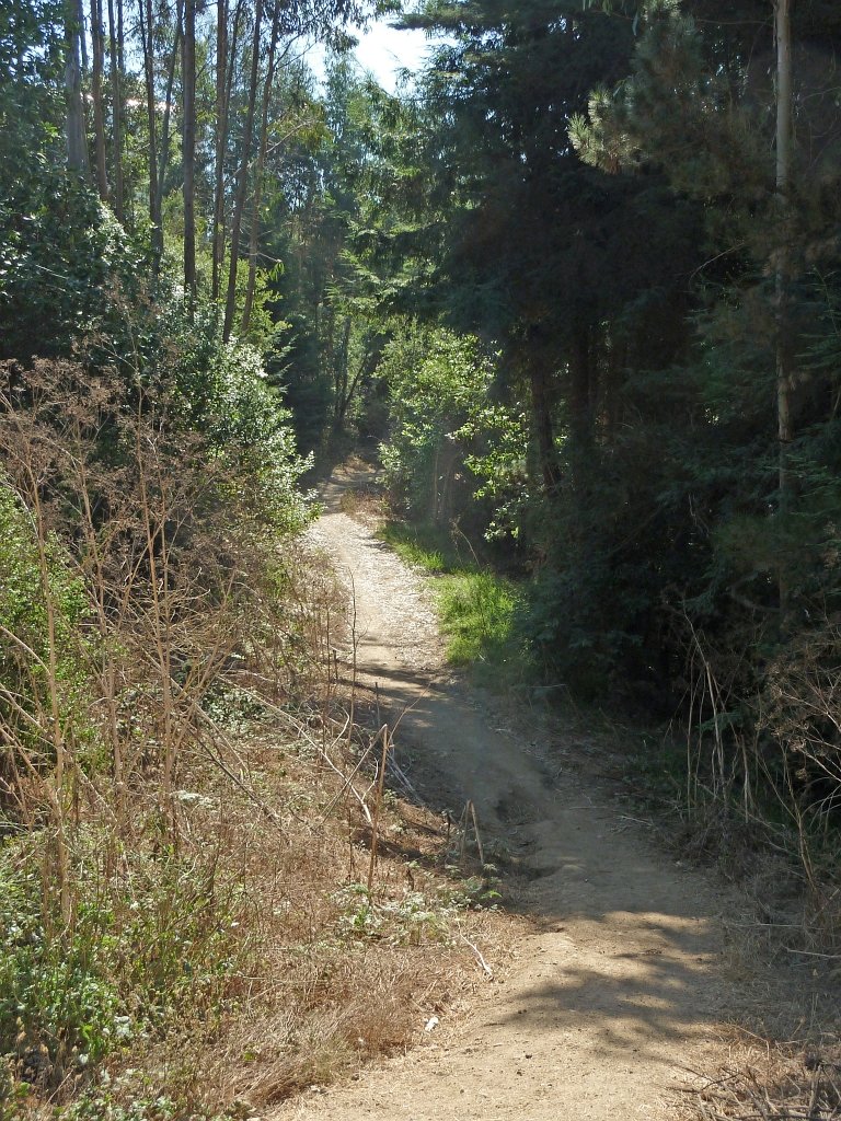 P1040419
