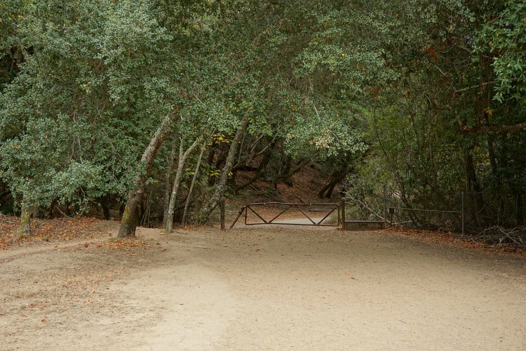 DSC03906