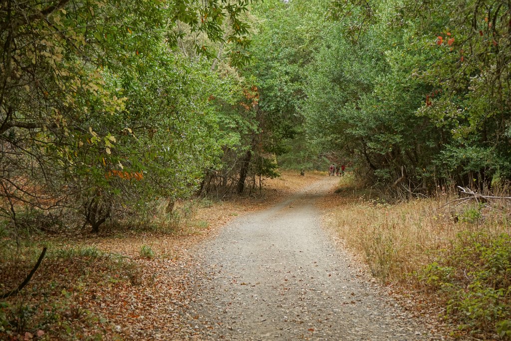 DSC03908