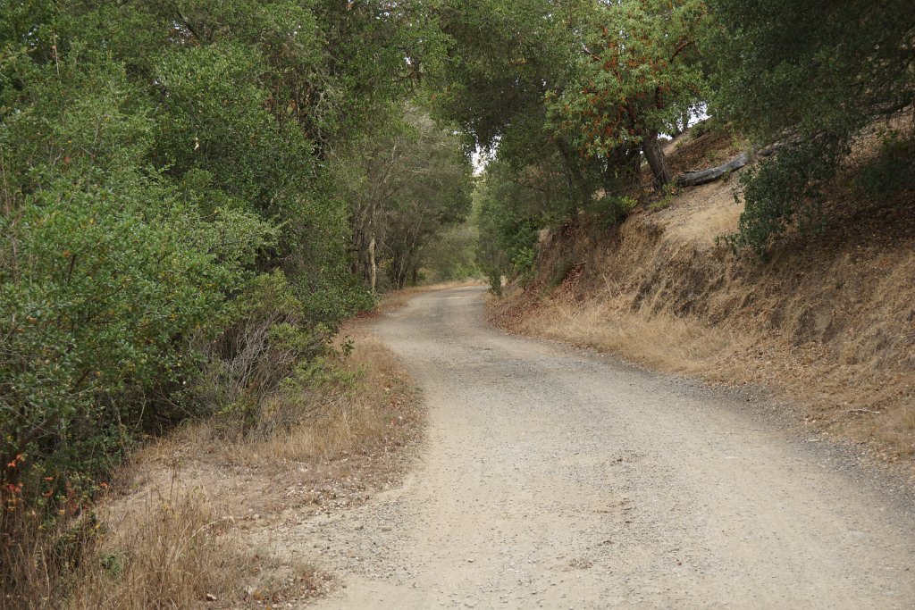 DSC03954