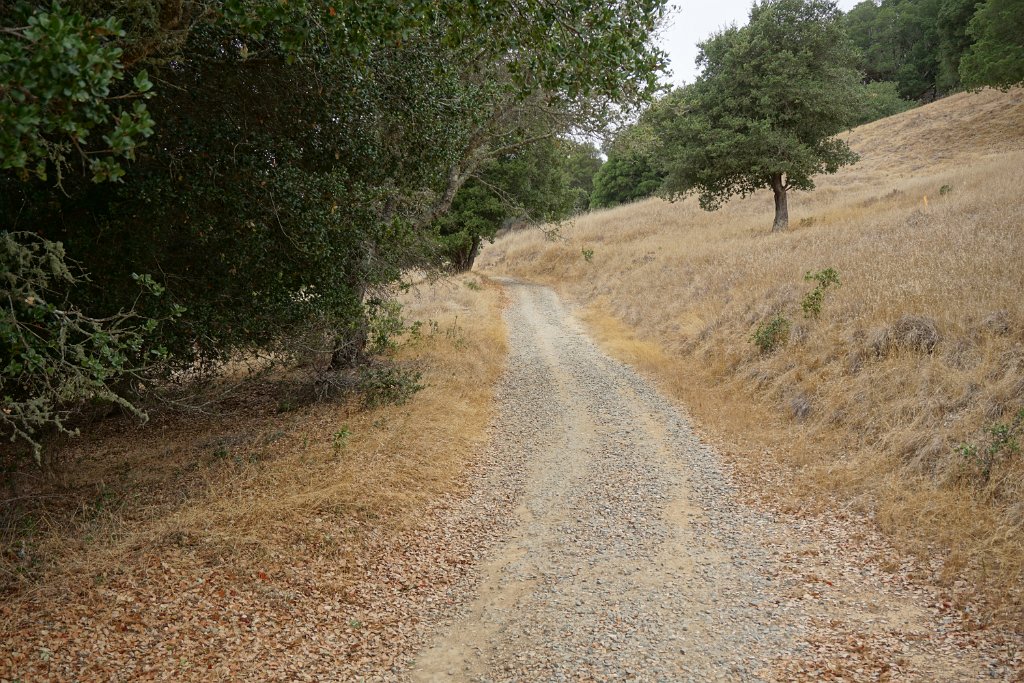 DSC03961