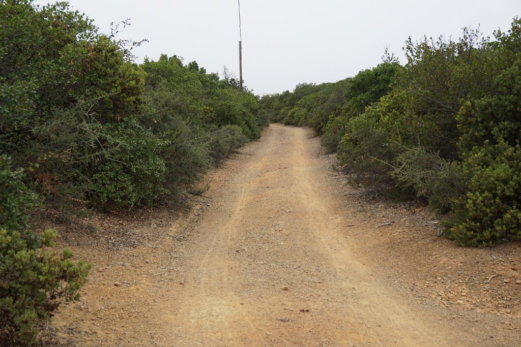 DSC03995