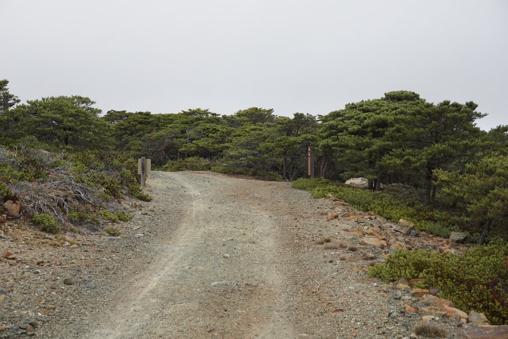 DSC04003