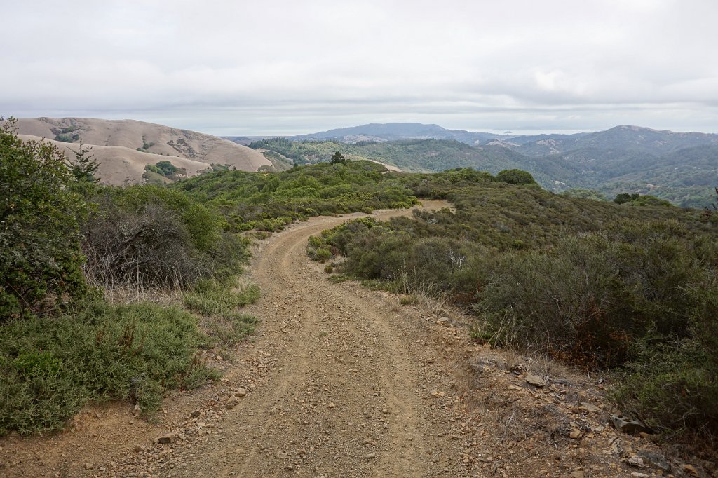 DSC04008