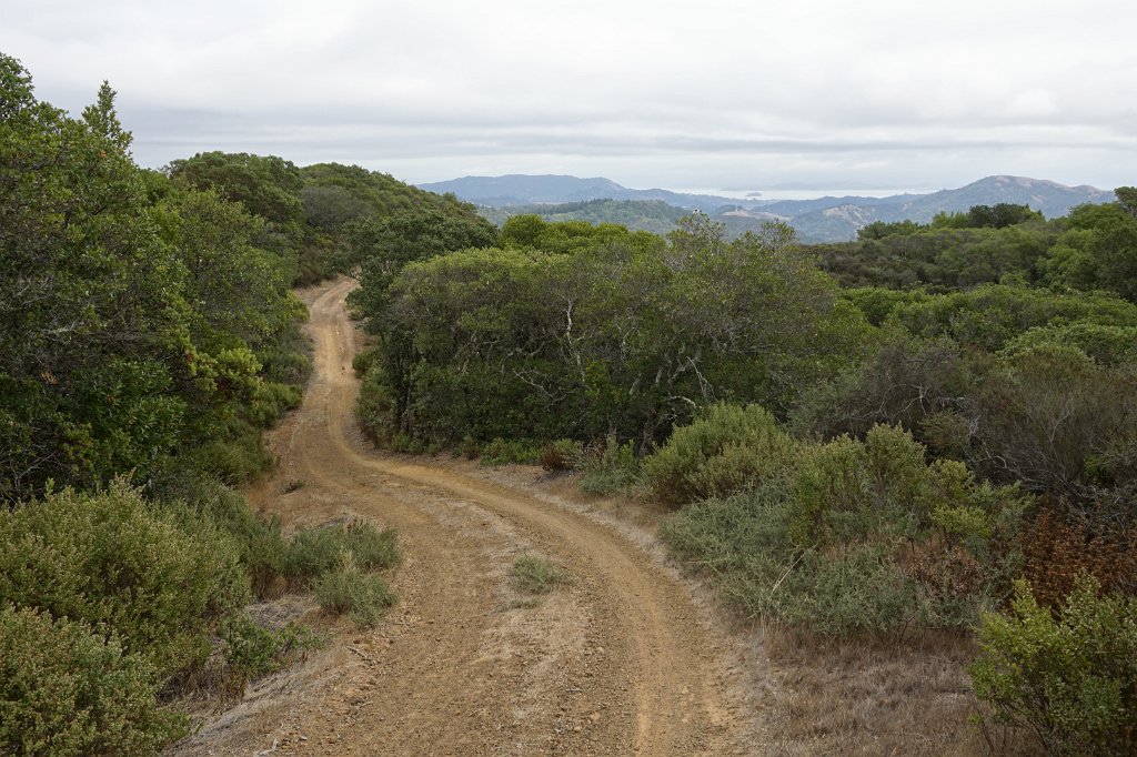 DSC04010