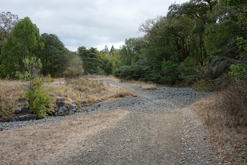 DSC04031