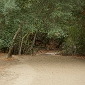 DSC03906