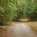 DSC03908
