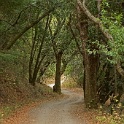 DSC03910