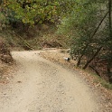 DSC03914