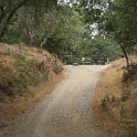 DSC03933