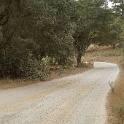 DSC03938