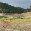 DSC03951