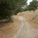 DSC03961