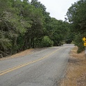 DSC03971