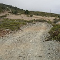 DSC03990