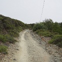 DSC03994