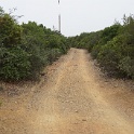 DSC03995