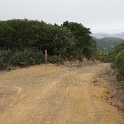 DSC03996