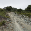 DSC03998