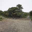 DSC03999