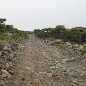 DSC04002