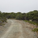 DSC04003