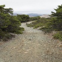 DSC04005